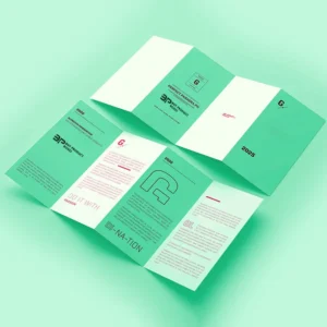 Custom Brochure Booklets-2