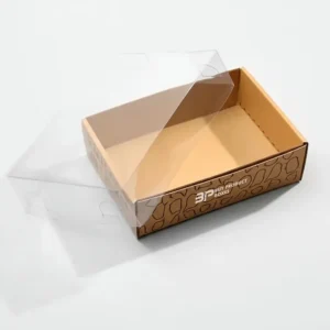 clear lid boxes-3
